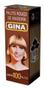 Imagem de Palito De Dente Gina Caixa Com 100 Unid Kit 25