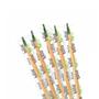 Imagem de Palito De Dente Sabor Menta Embalados Com 2000Un Kit 5
