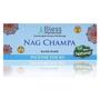 Imagem de Palitos de incenso Bless Nag Champa 100% naturais feitos à mão