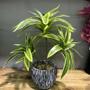 Imagem de Palmeira Artificial 36cm com 3 Cabeças - Planta Artificial de Plástico para Vaso
