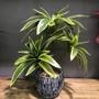 Imagem de Palmeira Artificial 36cm com 3 Cabeças - Planta Artificial de Plástico para Vaso