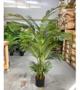 Imagem de Palmeira Artificial Grande Árvore Decoração Planta Com 150cm