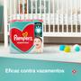 Imagem de Pampers Fraldas Descartaveis Super Sec M Basica M 46 Uni