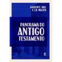 Imagem de Panorama do Antigo Testamento  Andrew Hill