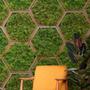 Imagem de Papel de Parede 15M Tapete de Musgo 3d Verde Estilo Jardim Artificial Adesivo  Tropical Auto Colante