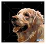 Imagem de Papel De Parede 3D Animais Cachorro Golden Arte 3,5M Anm369