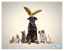 Imagem de Papel De Parede 3D Animais Cão Gato Arara Pet 3,5M Anm411
