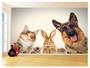 Imagem de Papel De Parede 3D Animais Cão Gato Petshop 3,5M Anm417