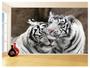 Imagem de Papel De Parede 3D Animais Casal Tigres Branco 3,5M Anm570