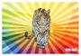 Imagem de Papel De Parede 3D Animais Pop Art Tigre Felino 3,5M Pxa123