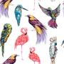 Imagem de Papel de Parede Adesivo - Aves - Animais - 321pps