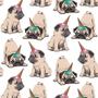 Imagem de Papel de Parede Adesivo - Cachorro - Pug - Pet Shop - 316pps