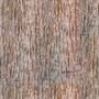 Imagem de Papel De Parede Adesivo Casca de Árvore Escura - 3,0m