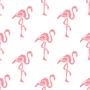 Imagem de Papel de Parede Adesivo - Flamingo - 037pps