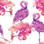 Imagem de Papel de Parede Adesivo - Flamingos - 032pps