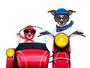 Imagem de Papel De Parede Casal De Cachorros Na Moto 3D Anm178