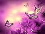 Imagem de Papel De Parede Floral Flores Textura Sala 3D 3M² Xfl217