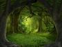 Imagem de Papel De Parede Floresta Natureza Árvores 3D 3M² Xna188