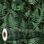 Imagem de Papel de Parede Folhas Samambaia Jardim Auto Colante 10M