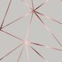 Imagem de Papel De Parede Geométrico Zara Cinza com Detalhes Rose Autocolante Sala Quarto