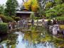 Imagem de Papel De Parede Jardim Japonês Templo Japão 3D 7,50m² Jjp32