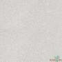 Imagem de Papel de parede kantai  classici 4 - textura cinza claro