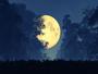 Imagem de Papel De Parede Lua Cheia Floresta Árvores 3D Lua22