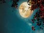 Imagem de Papel De Parede Lua Cheia Noite Estrelas 3D Lua40
