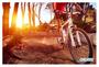 Imagem de Papel De Parede Mountain Bike Ar Livre Passeio 3,5M Aca39