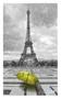 Imagem de Papel De Parede Paris Eiffel Guarda Chuva Céu 3,5M Ncd307