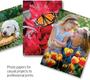Imagem de Papel fotográfico Premium Plus brilhante 4x6 de 100 folhas