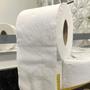 Imagem de Papel Higiênico Folha Dupla Ness com Alça com 16 rolos de 30 metros