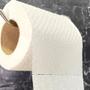 Imagem de Papel Higiênico Folha Simples Personal com 15 pacotes com 4 rolos de 30 metros