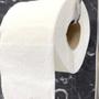 Imagem de Papel Higiênico Folha Tripla Fofinho Absolute com 12 rolos de 20 metros