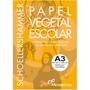 Imagem de Papel Vegetal A3 60/65G 297X420MM (7898662820141)