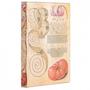 Imagem de Paperblanks Lily & Tomato Mini