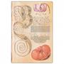 Imagem de Paperblanks Lily & Tomato Mini