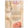 Imagem de Paperblanks Lily & Tomato Mini