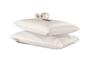 Imagem de Par de capas para travesseiros impermeáveis com zíper ideal para travesseiros de até 75cm x 55cm