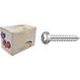 Imagem de Parafuso A.A. Panela Phillips Nfix 3,9 X 32 - Kit C/5 Centos