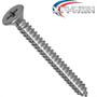 Imagem de Parafuso Auto Atarraxante Chata Philips New-Fix 3,9 X 13Mm - Kit C/5 Centos