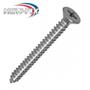 Imagem de Parafuso Auto Atarraxante Chata Philips New-Fix 4,8 X 25Mm ./ Kit Com 5 Centos