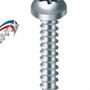 Imagem de Parafuso Auto Atarraxante Panela Philips New-Fix 4,8 X32Mm - Kit C/5 Centos