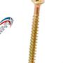 Imagem de Parafuso Chipboard Philips Chata New Fix 5,0X45Mm - Kit C/2 Centos