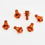 Imagem de Parafuso De Proteção De Garfo KTM SX XC EXC XCF M6 * 12 125 250 300 350 450 500 GasGas EX EC