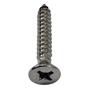 Imagem de Parafuso Inox Auto Atarraxante Chata Phillips Stein