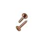 Imagem de Parafuso Jomarfix Cabeca Flangeada Philips Jomarca3,5X22 %  30736 ./ Kit Com 5