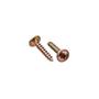 Imagem de Parafuso Jomarfix Cabeca Flangeada Philips Jomarca3,5X22 %  30736 ./ Kit Com 5