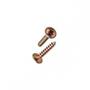 Imagem de Parafuso Jomarfix Cabeca Flangeada Philips Jomarca4,0X20 %  30745 . / Kit C/ 5