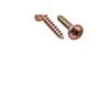 Imagem de Parafuso Jomarfix Cabeca Flangeada Philips Jomarca4,0X20 %  30745 . / Kit C/ 5
